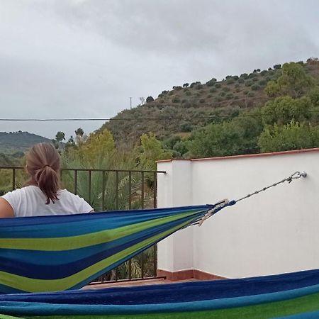 Apartamento Casa Con Vistas Al Campo Y Cocina Con Terraza Villanueva de San Juan Kültér fotó